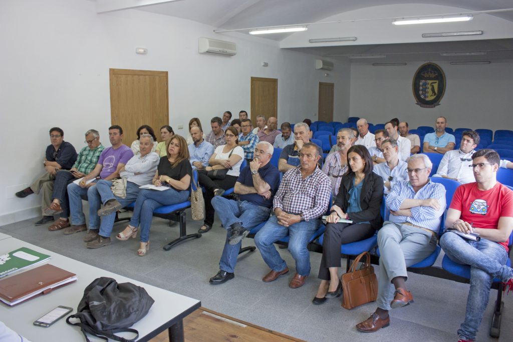 La Plataforma pide agilidad en las respuestas a las alegaciones del Plan de la Corona Norte
